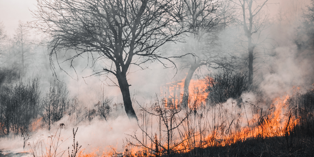 How Vents Ductless ERVs and HRVs can help Improve Indoor Air Quality During Wildfire Season