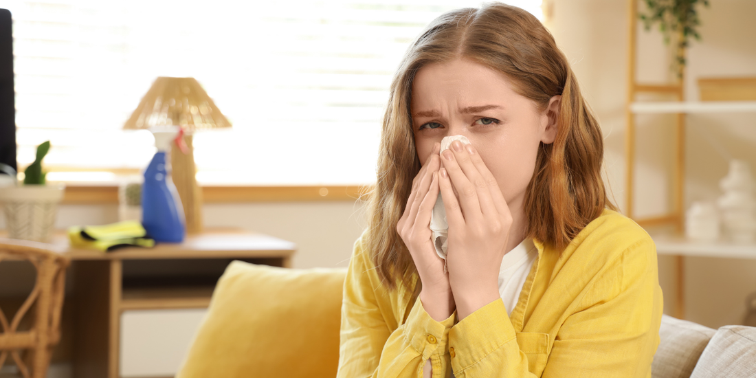 How to Improve Indoor Air Quality During Spring Allergy Season